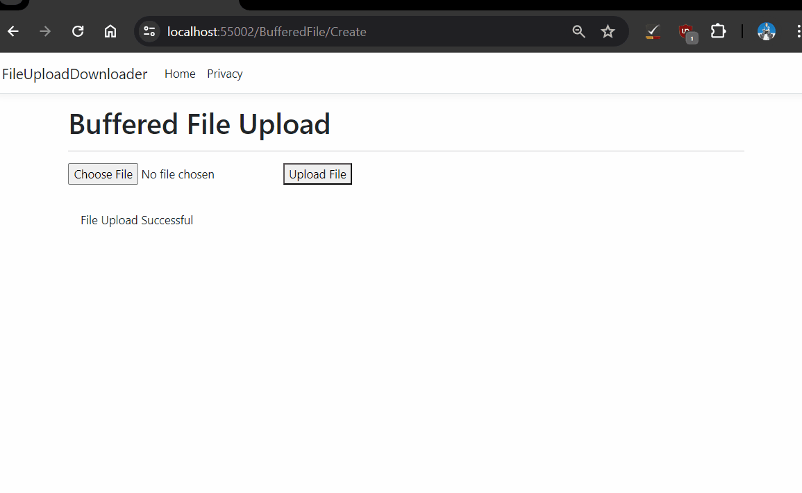 The running of the application, showing how the files upload